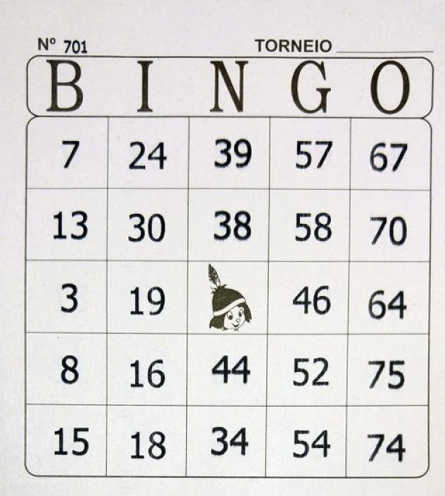 Bloco Bingo C/96FLS 56G  Animativa/Sd/Tamoio