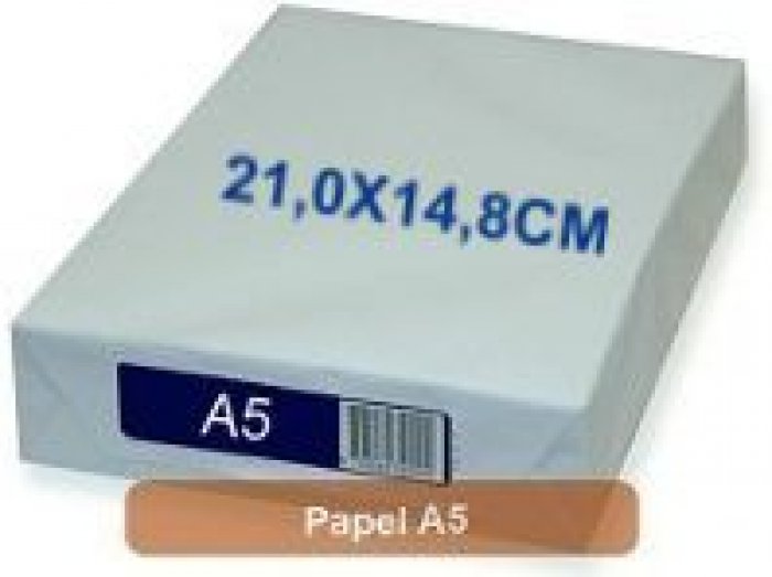 Papel A5 CX/20 Resmas Branco (10.000 FLS)
