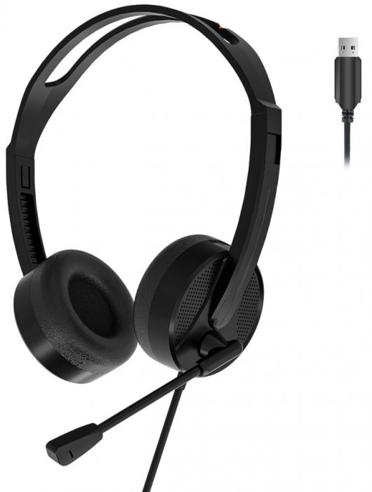 Headset USB Fone C/Microfone Biauricular Lecoo HT106 Preto