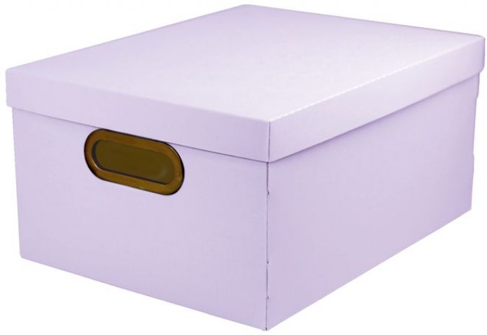 Caixa Organizadora 2192.Lp Media Lilas Pastel Dello