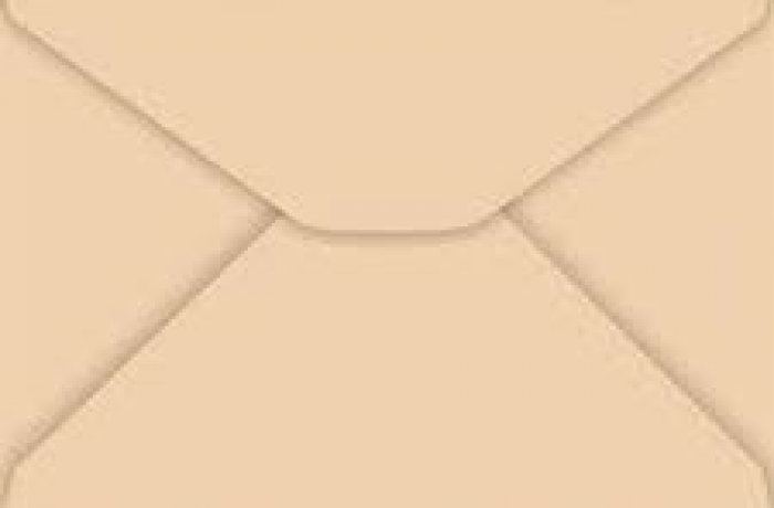 Envelope Colorido Salmao 114X162