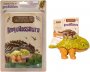 Livro Brinquedo - Mundo dos Minidinos: Anquilossauro